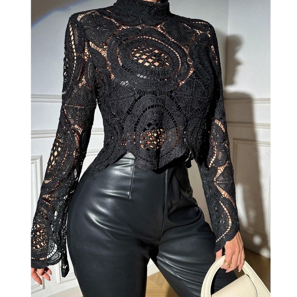 Luxe Sheer Mock neck Flared Long Sleeve Lace Blouse - Picture 8 of 9